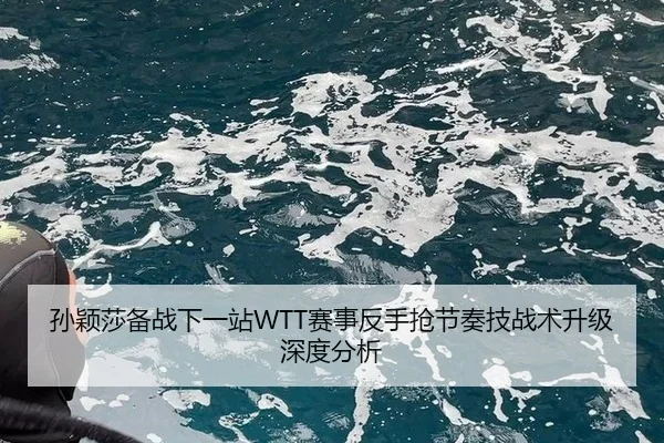 孙颖莎备战下一站WTT赛事反手抢节奏技战术升级深度分析